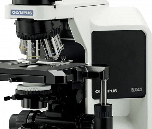 OLYMPUS BX43